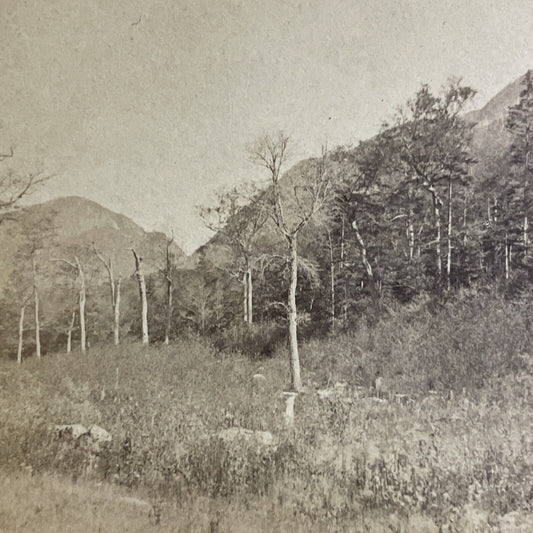 Antique 1870s Franconia Notch New Hampshire Stereoview Photo Card P4871