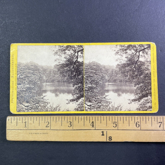 Ugbrooke Chudleigh Devon England UK Stereoview Lake View Antique c1870 X3717