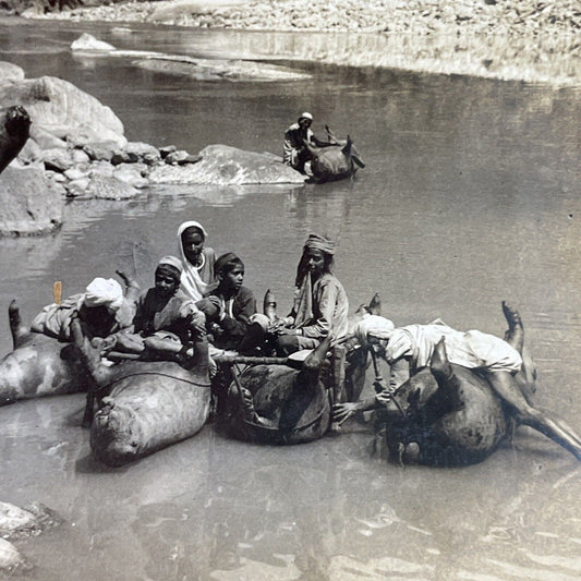 Antique 1910s Men Using Dead Cows As Boats India Stereoview Photo Card P3747