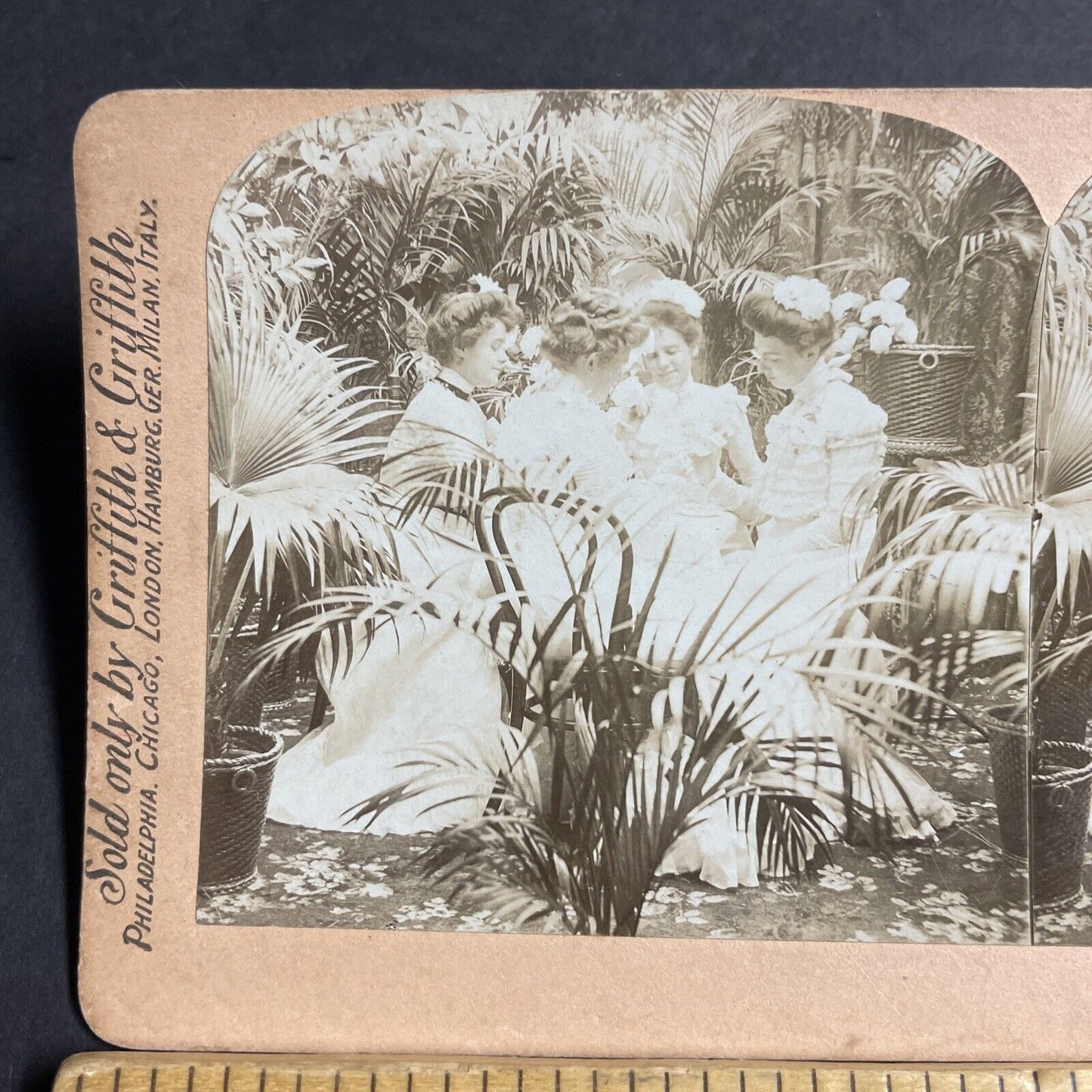 Antique 1900 High Society Fortune Telling Tea Leaves Stereoview Photo Card P4624