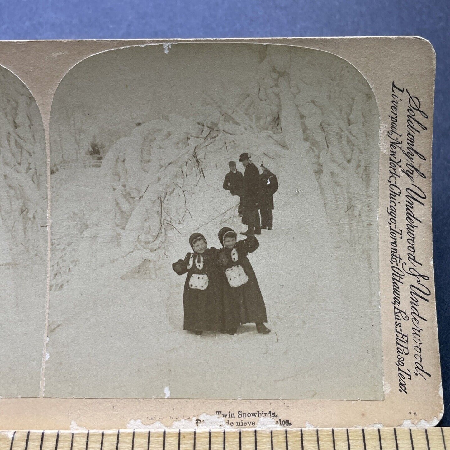 Antique 1893 Children Play In Snow New York State Stereoview Photo Card P2410