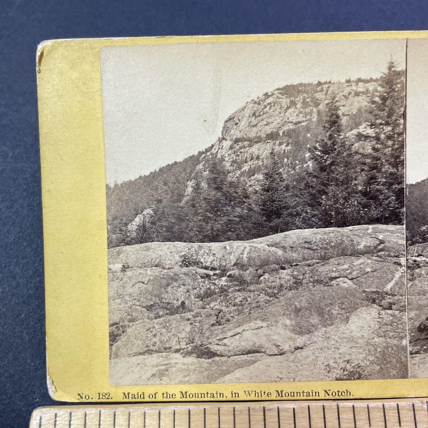 Antique 1870s The Watcher White Mountains NH Stereoview Photo Card V1791