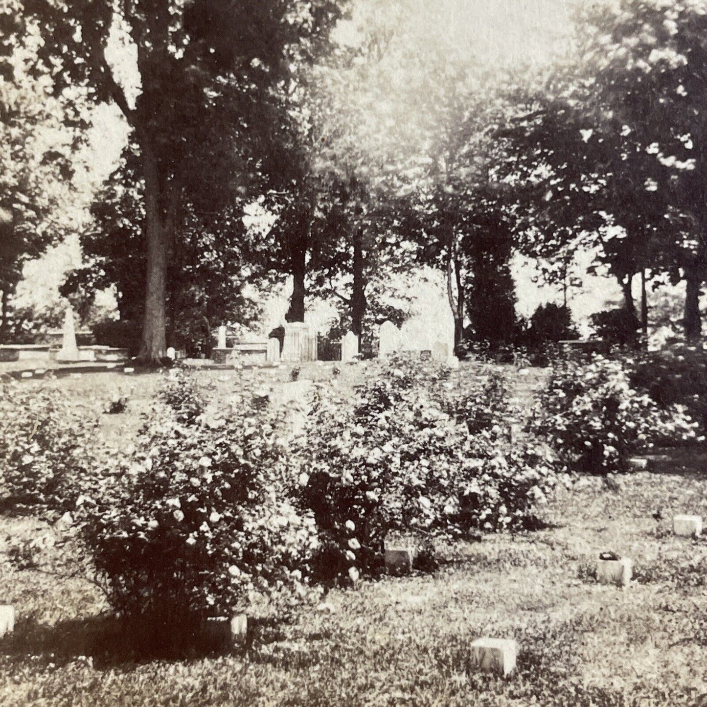 Antique 1870s Jefferson Military Cemetery Montana Stereoview Photo Card P4809