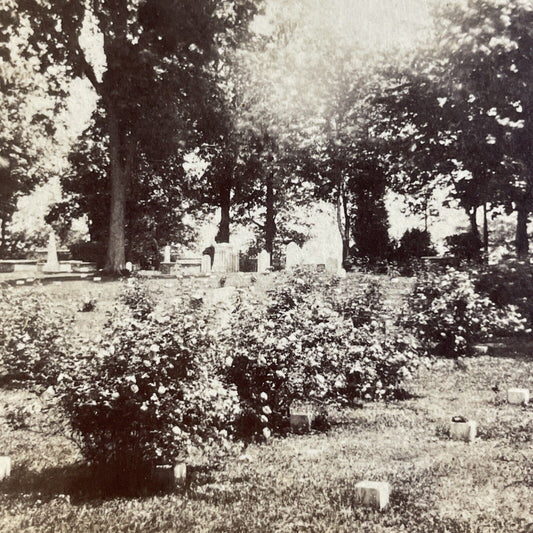 Antique 1870s Jefferson Military Cemetery Montana Stereoview Photo Card P4809