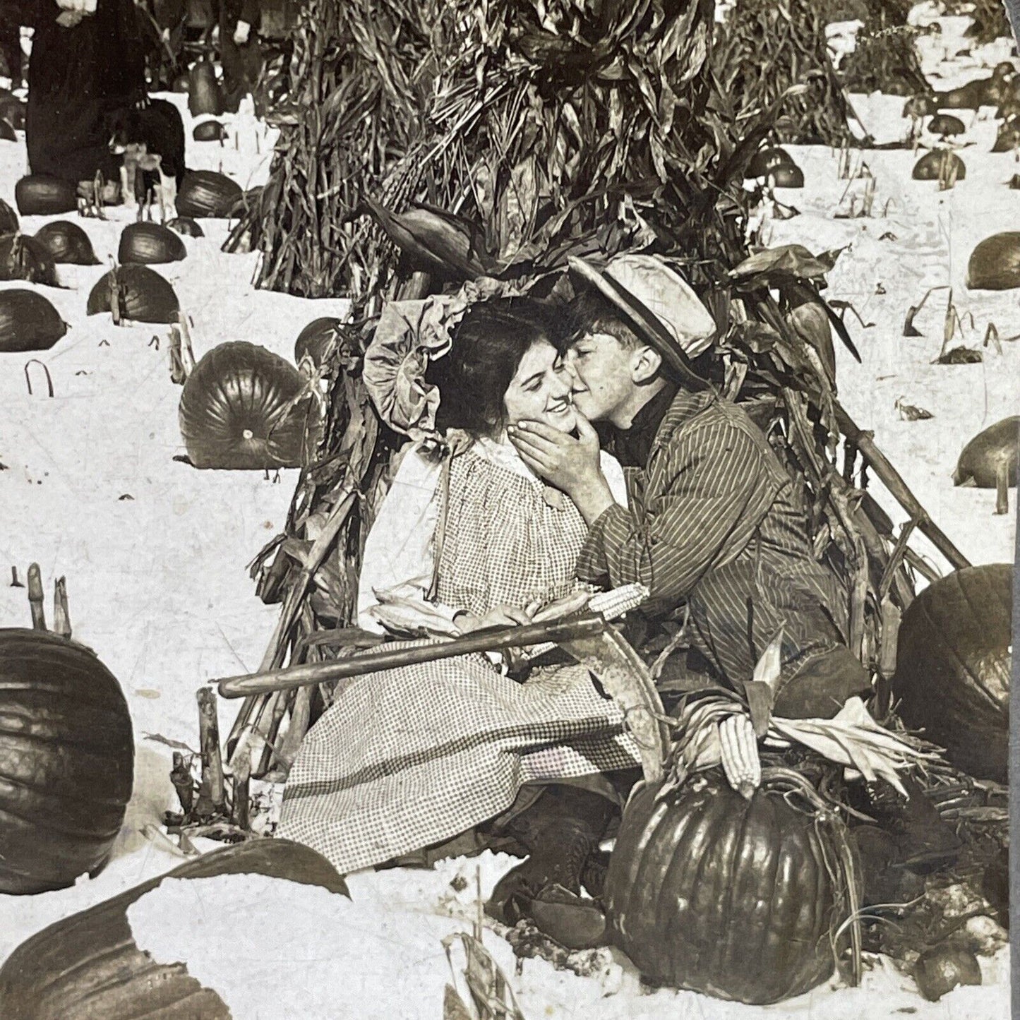 Antique 1906 Young Lovers In A Pumpkin Patch Stereoview Photo Card P580-083