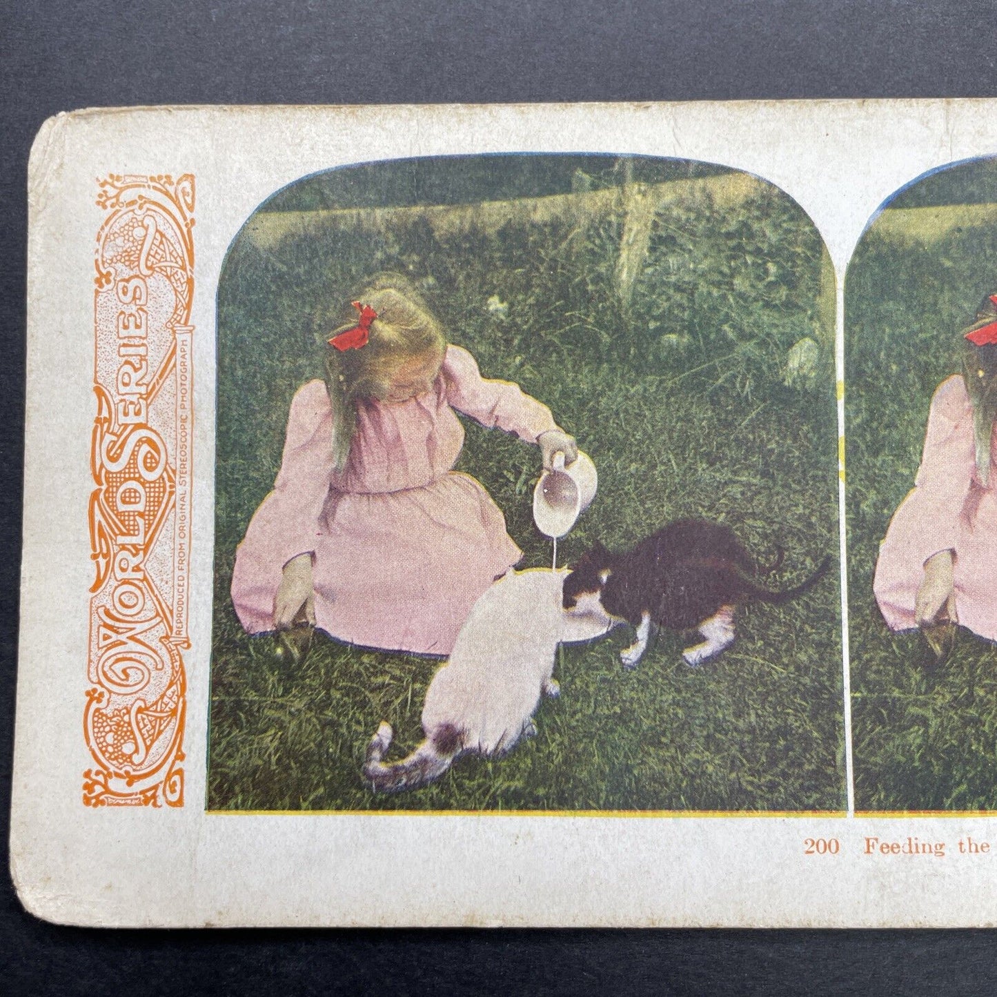 Antique 1905 Young Girl Giving Cats Some Milk Stereoview Photo Card P580-055