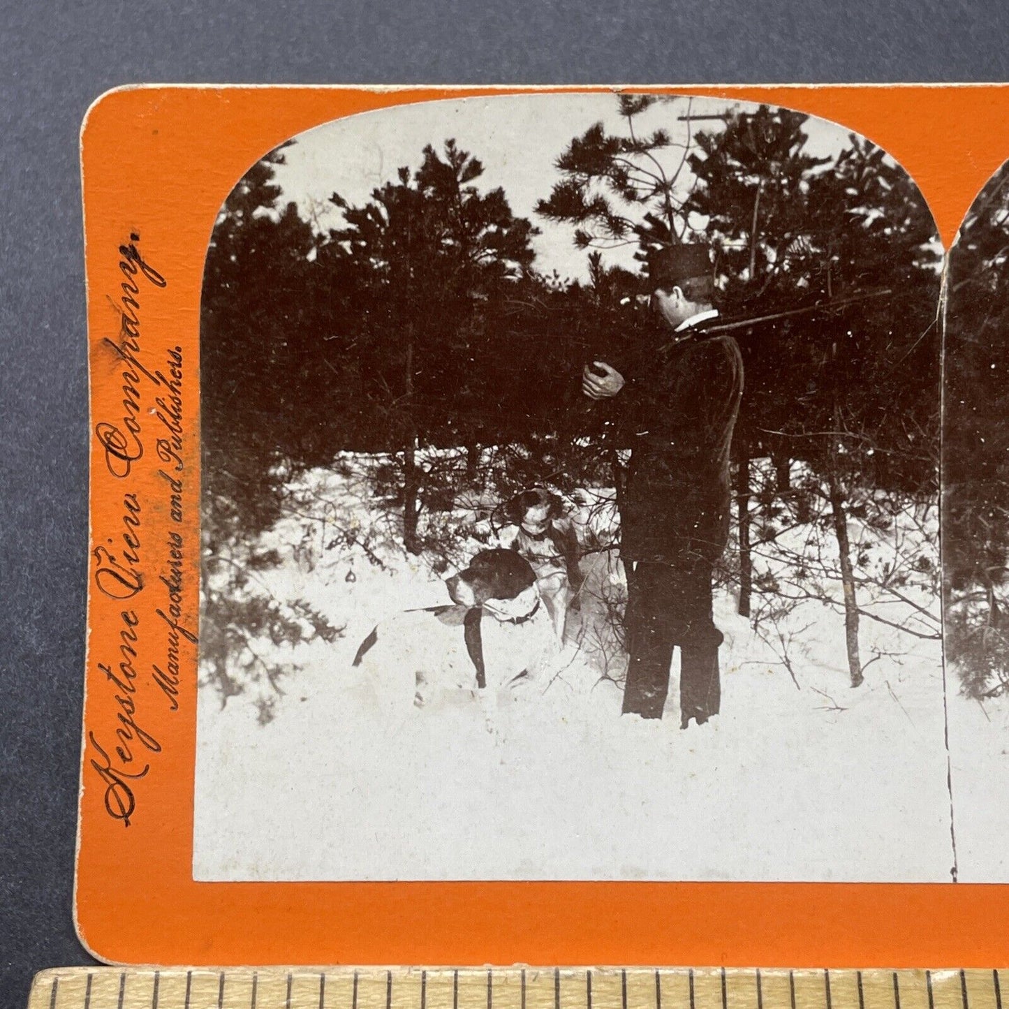 Antique 1895 Man With His Hunting Dogs Stereoview Photo Card P2725