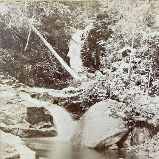 Antique 1871 Beecher & Pearl Falls Crawford Notch NH Stereoview Photo Card V1983