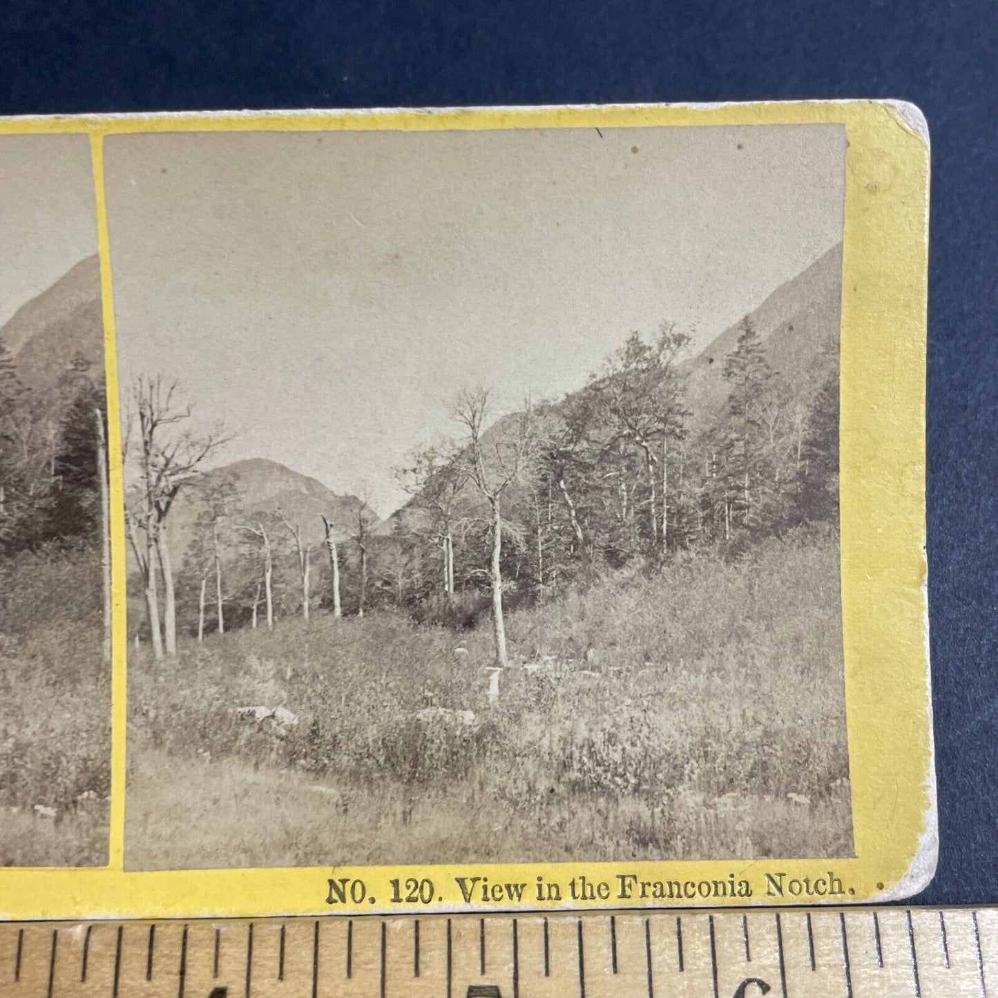 Antique 1870s Franconia Notch New Hampshire Stereoview Photo Card P4871