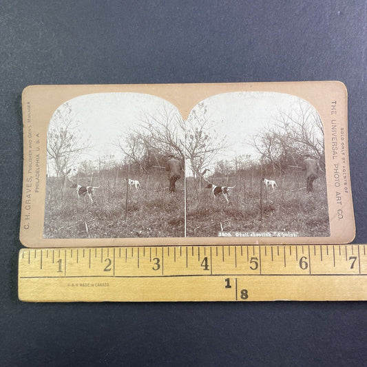 Pointer Hunter Dogs Hunt Quail Stereoview CH Graves Antique c1899 X2853