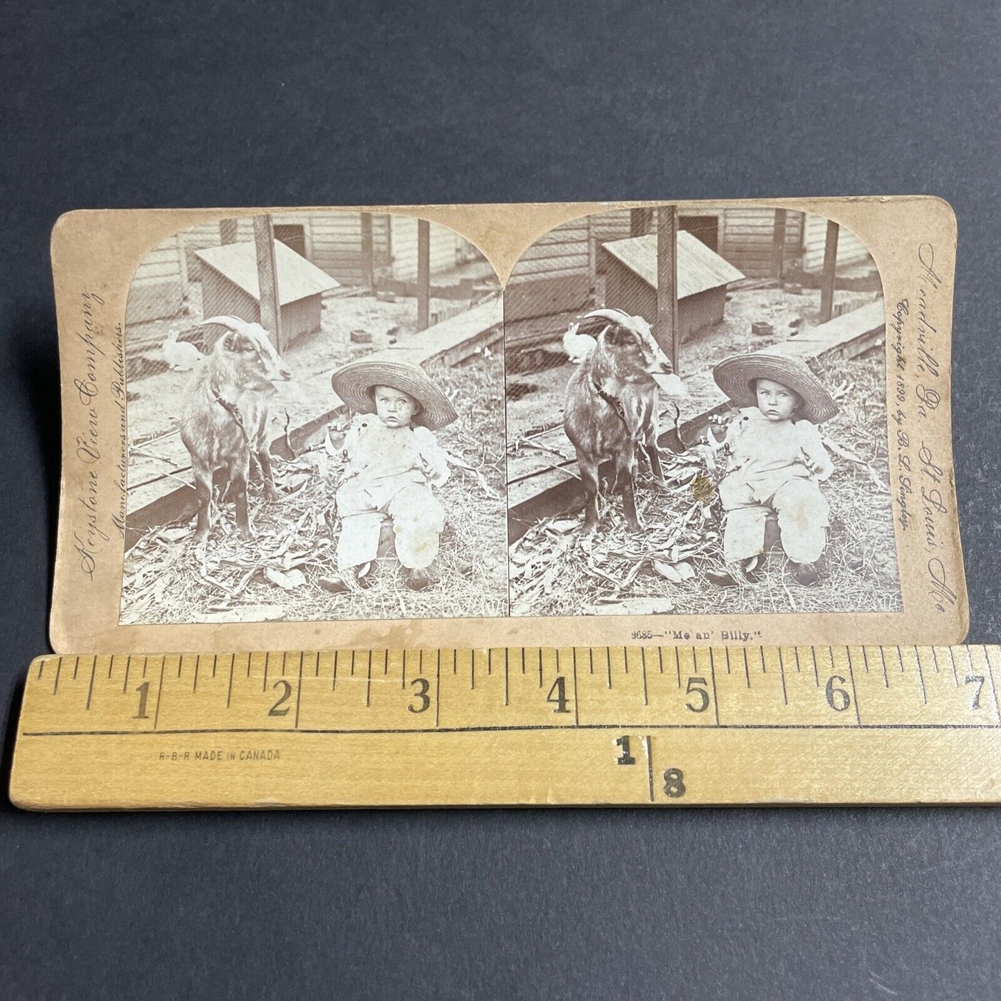 Antique 1899 A Child With A Billy Goat Stereoview Photo Card P4749