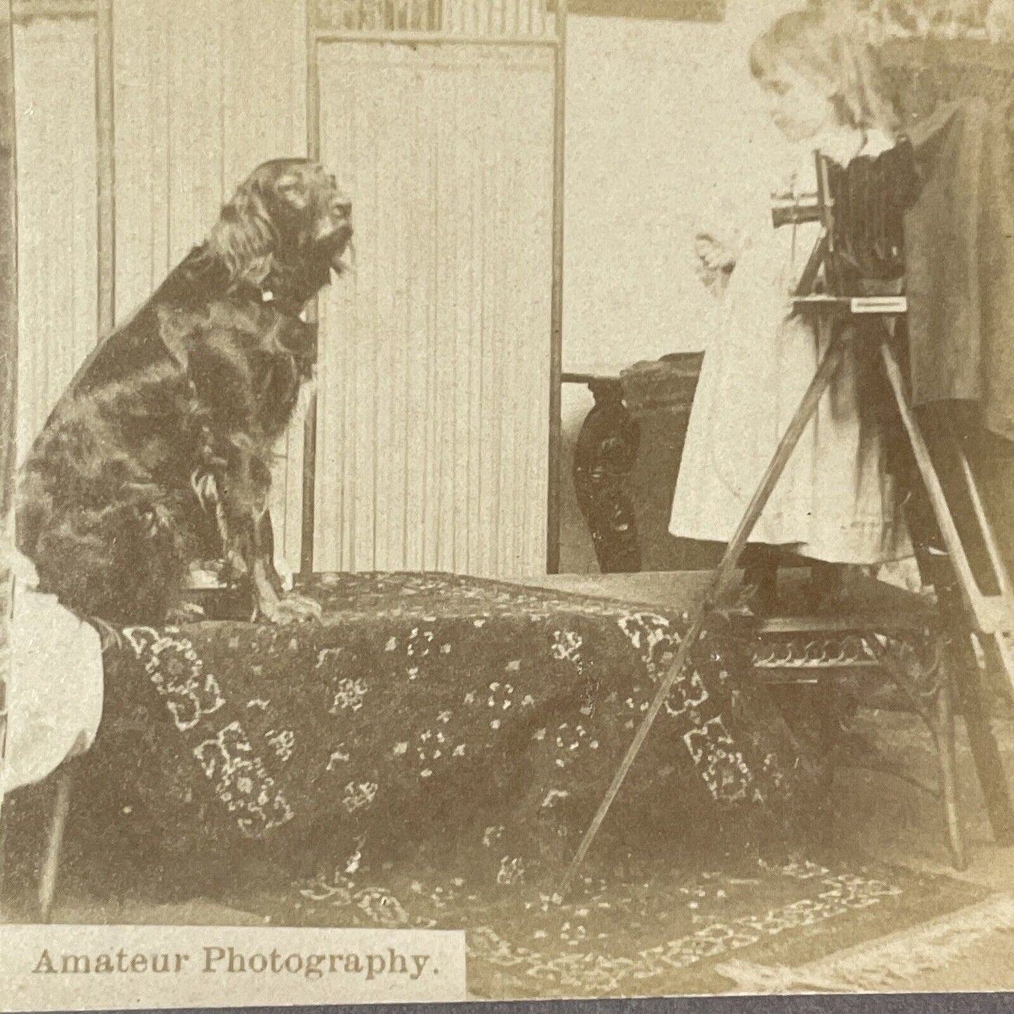 Camera Photography Girl Taking Photo Stereoview Card Antique c1899 X1229