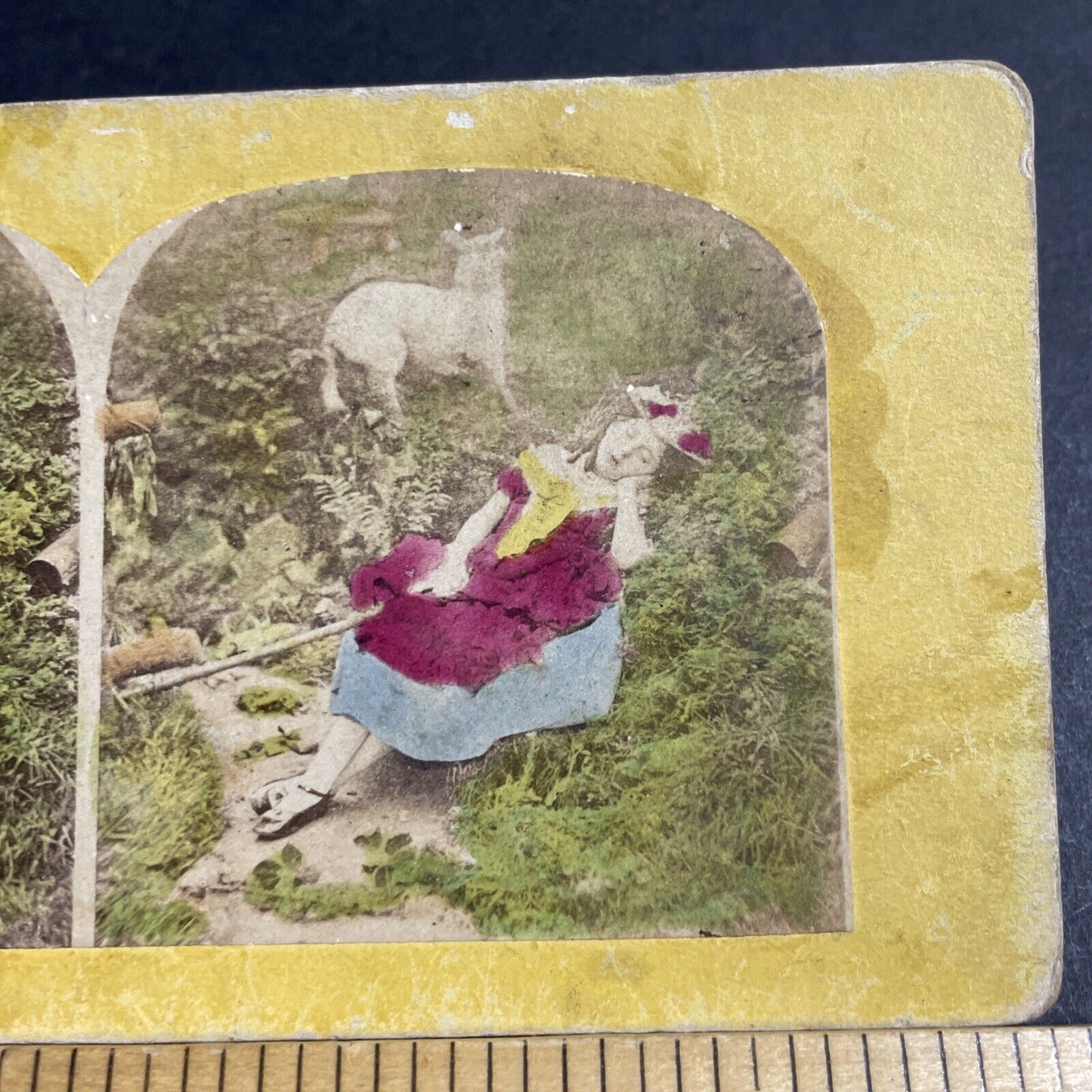 Antique 1860s Child Falls Asleep Looking For Lamb Stereoview Photo Card P4719