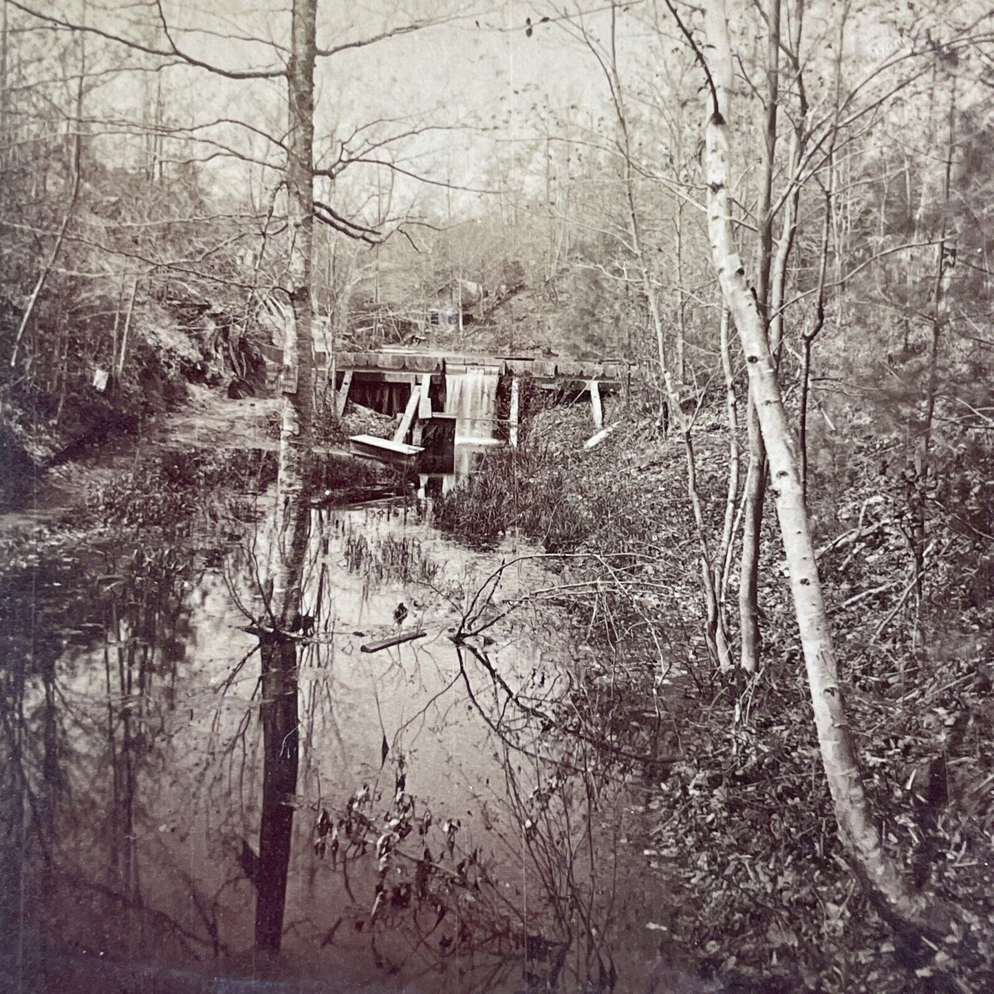 Meredith New Hampshire Stereoview SIGNED BY BENJAMIN KILBURN in 1894 c1878 Y2152