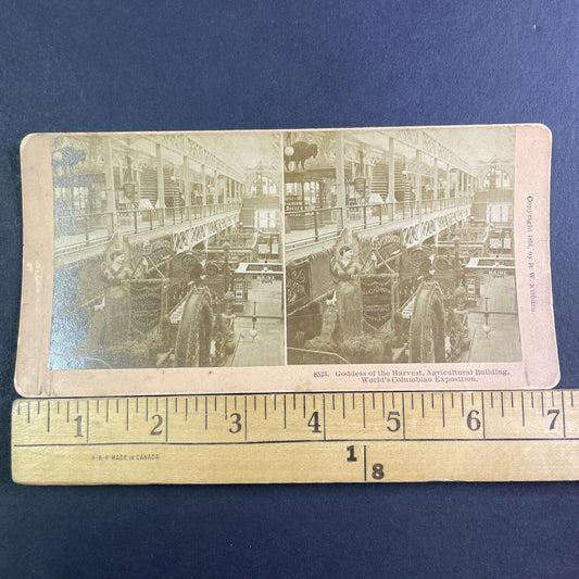 The North Dakota Exhibit Stereoview Chicago World's Fair Antique c1894 X3219