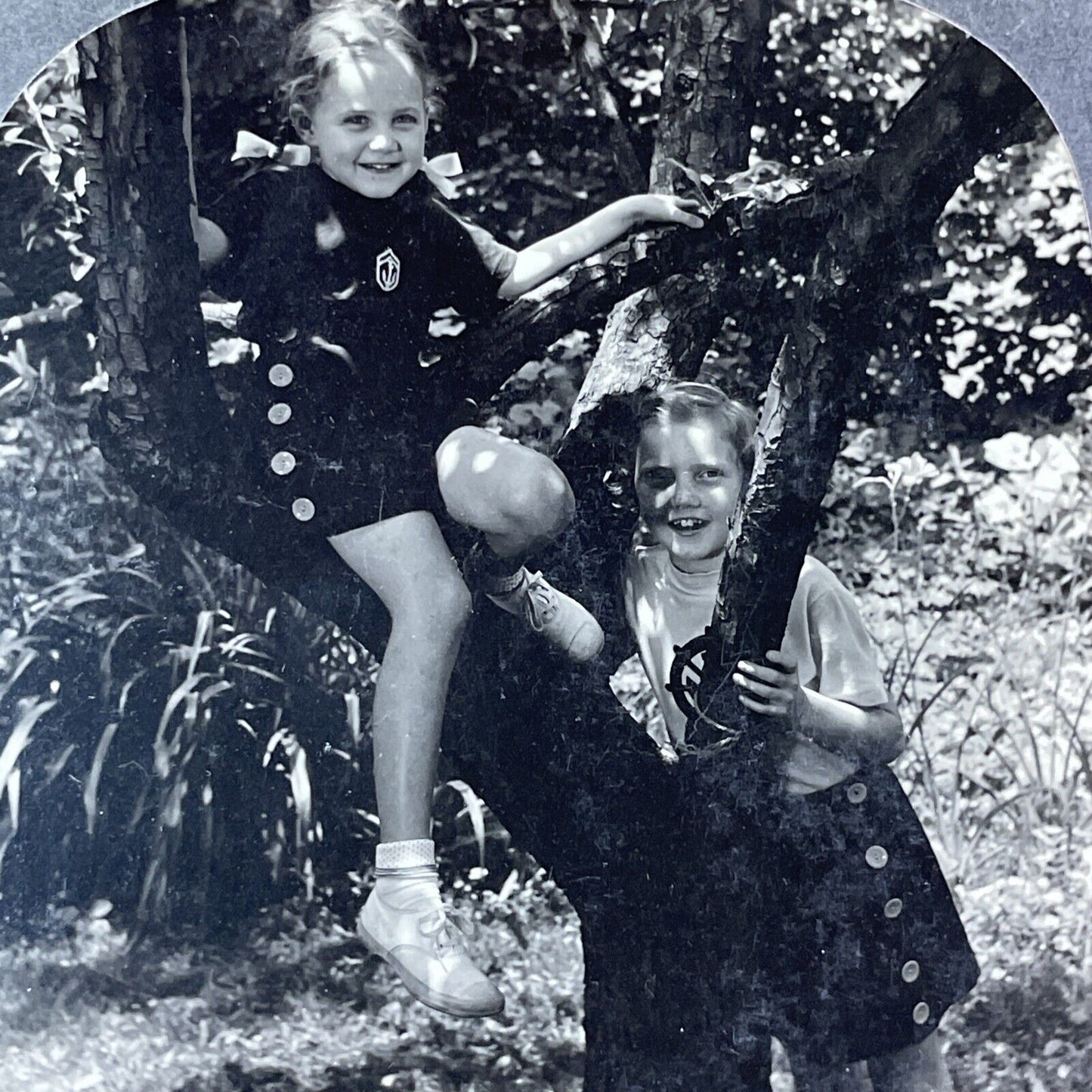 Family Of Harley W. Russ Stereoview Haverhill Massachusetts Antique c1930 X2783