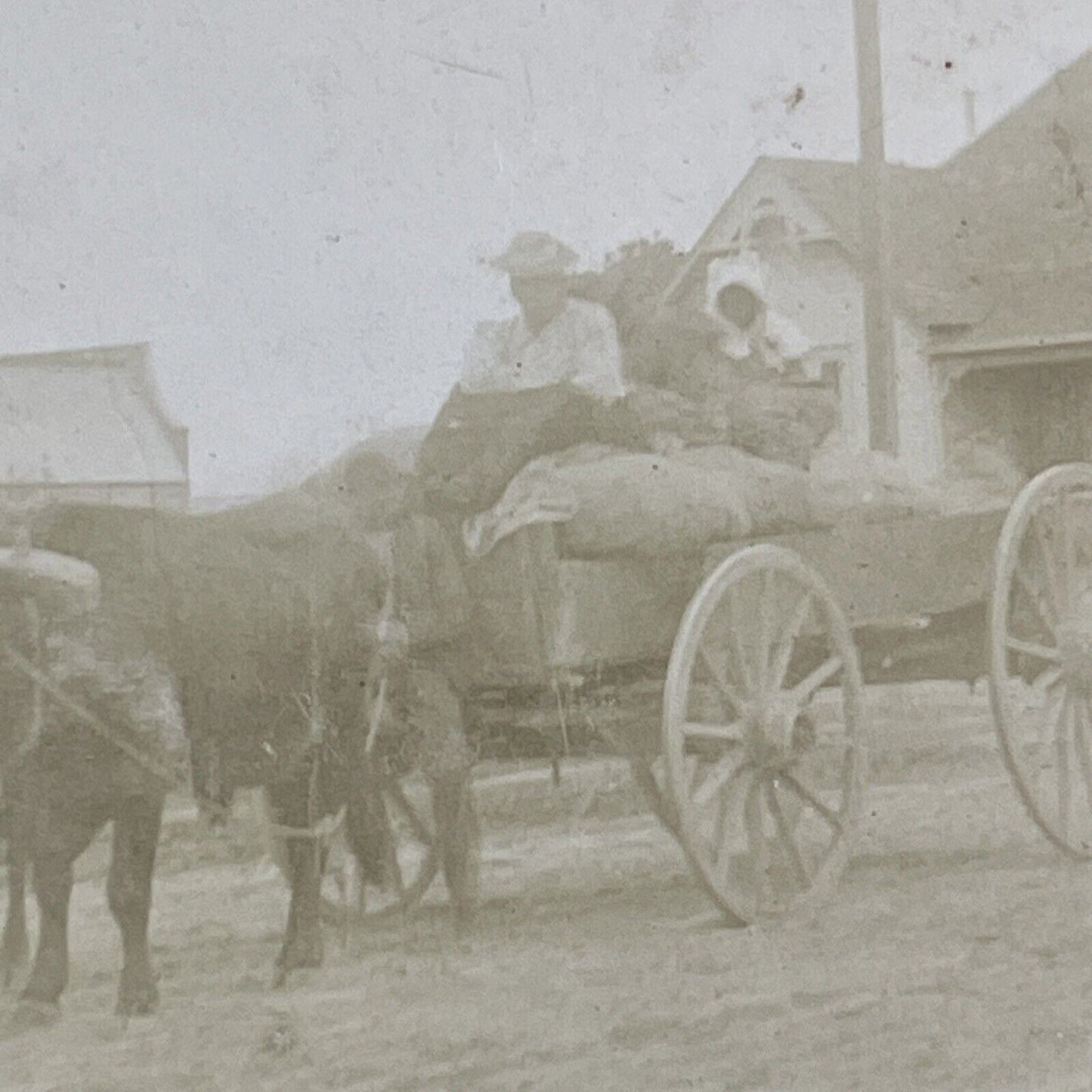 African American Settlers In Ox Wagon Stereoview Antique c1890 X1809