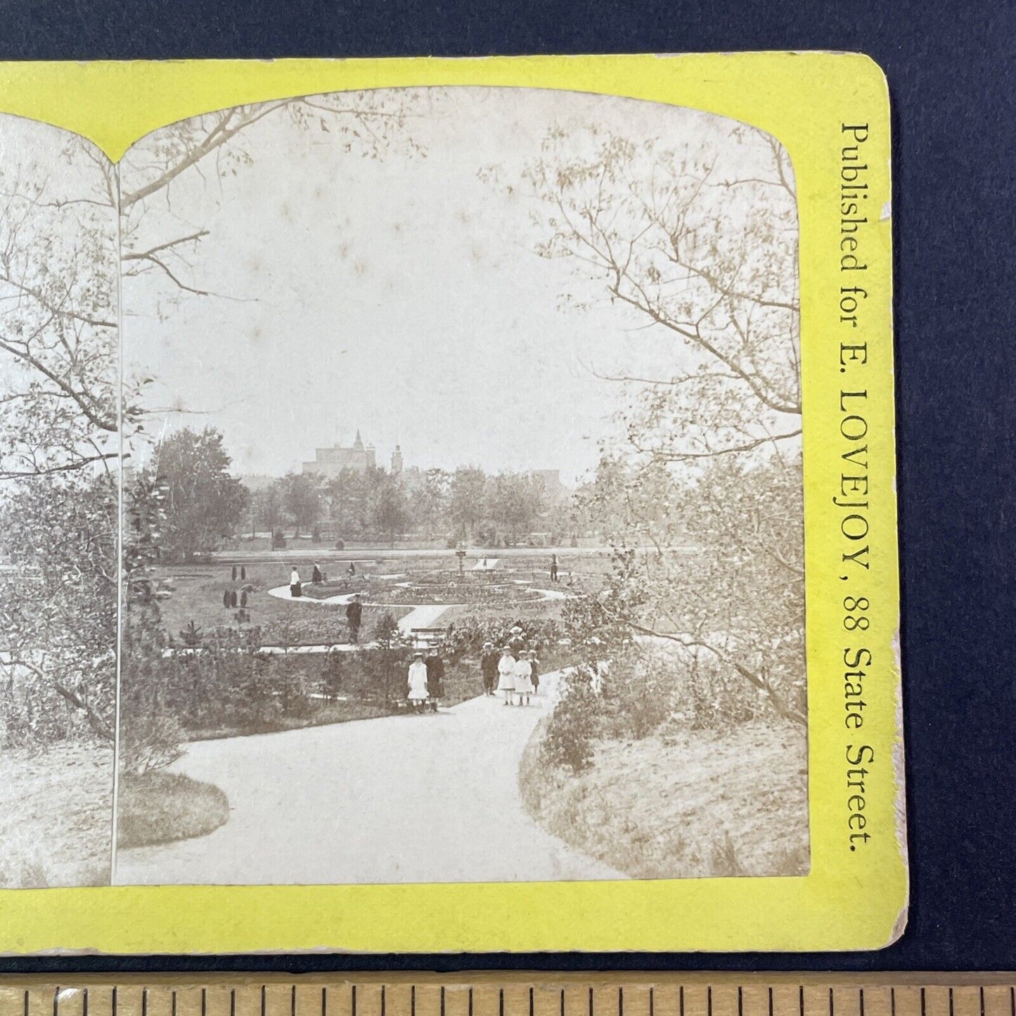 Lincoln Park Chicago Illinois Stereoview E. Lovejoy Antique c1880 Y1812