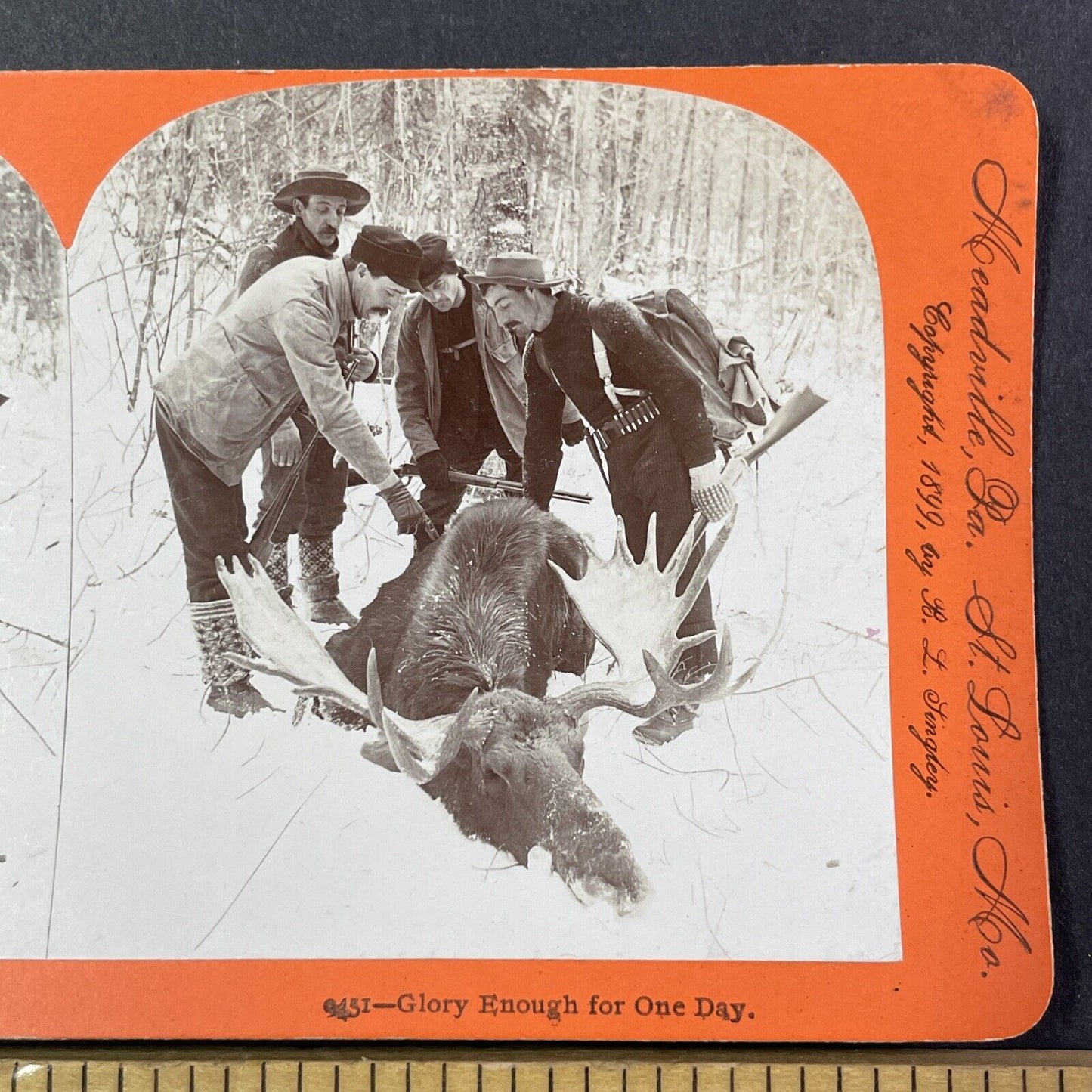 Men Hunt and Kill a Moose in Northern Maine Stereoview Antique c1899 Y1808