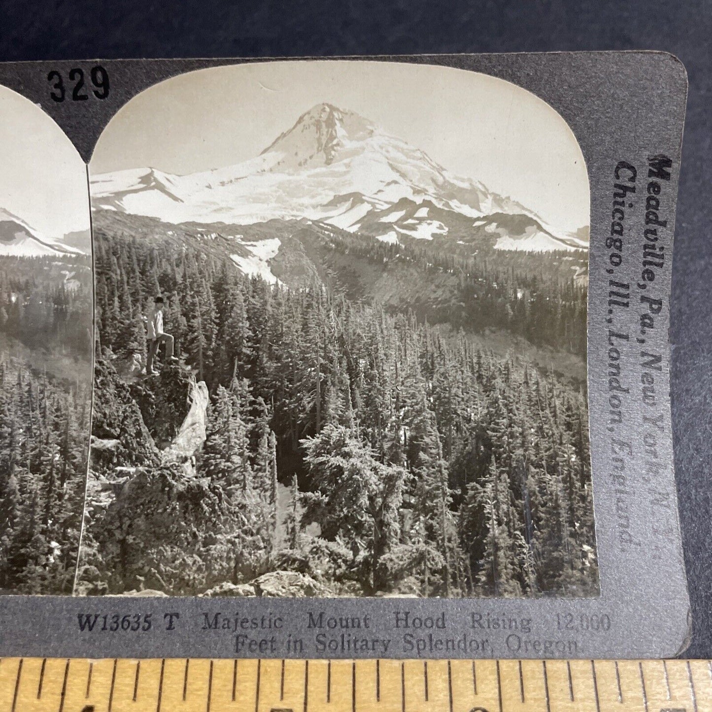 Antique 1910s Mount Hood Oregon Early Photo Stereoview Photo Card P3199