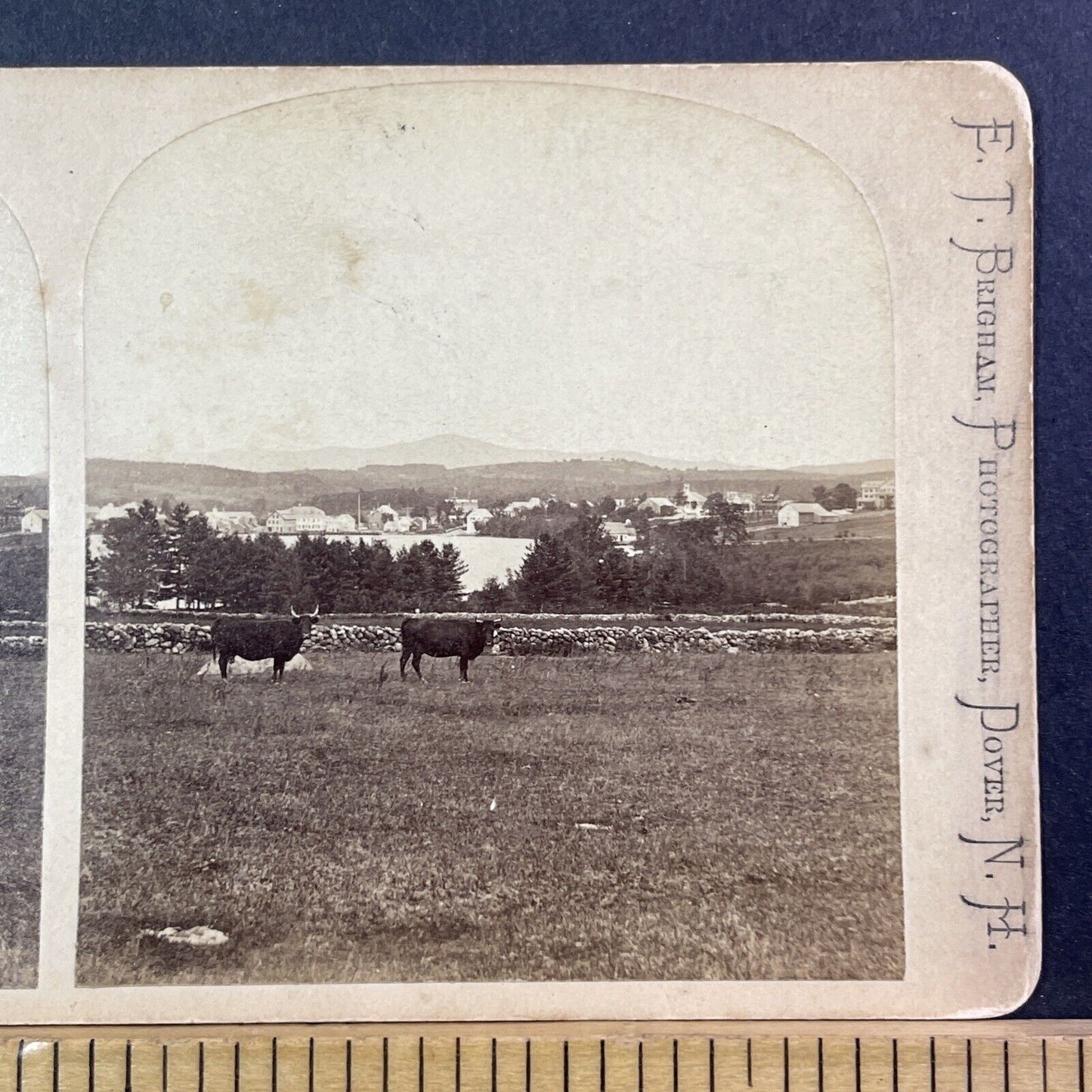 Wolfeboro New Hampshire Stereoview Clarks Point Photo Card Antique c1870 X929