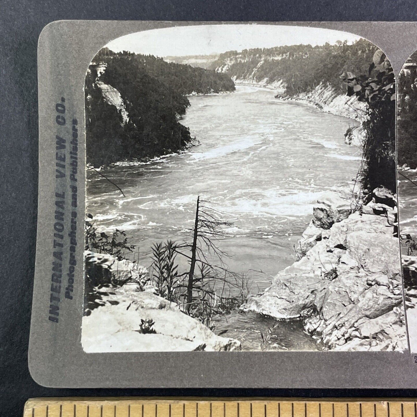 Niagara River towards Lewiston New York Stereoview C.L. Wasson c1904 Y3009