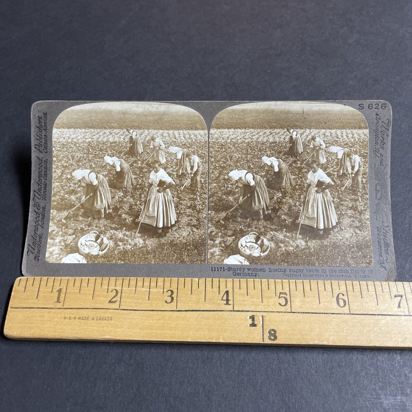 Antique 1900 Traditional Saxony Women Farmers Stereoview Photo Card P4472