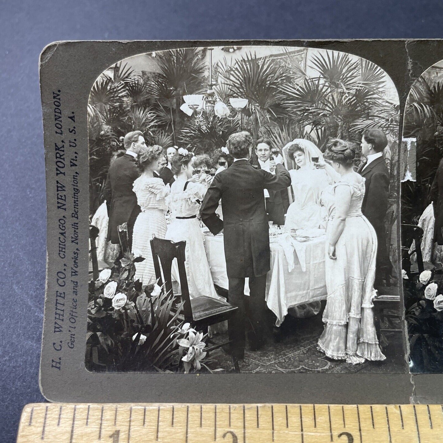 Antique 1903 A Wine Toast At A Victorian Wedding Stereoview Photo Card P2967