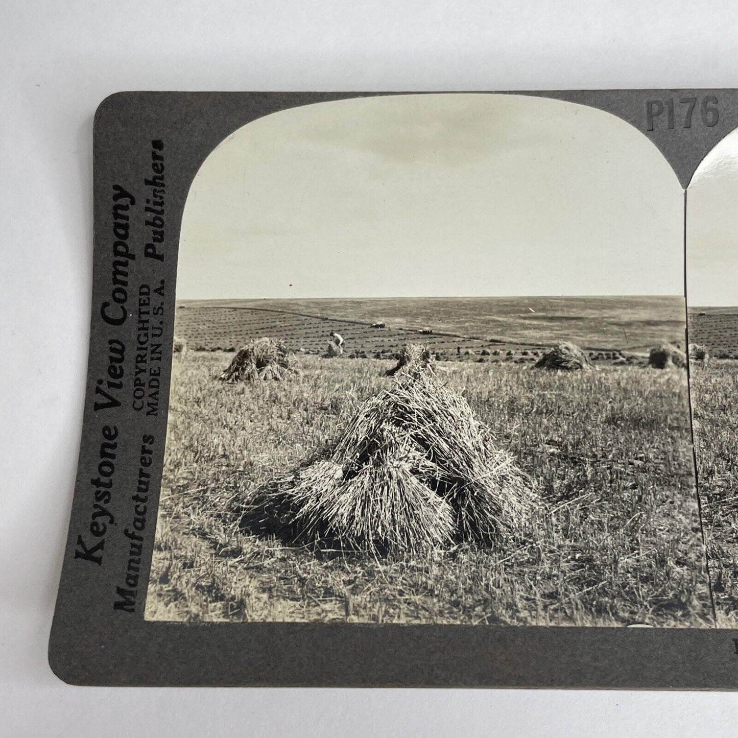 Antique 1912 Wheat Farming Regina Saskatchewan Canada Stereoview Photo PC620