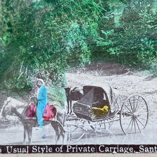 Antique 1880s Carriage & Driver Santiago Chile Stereoview Photo Card P1853