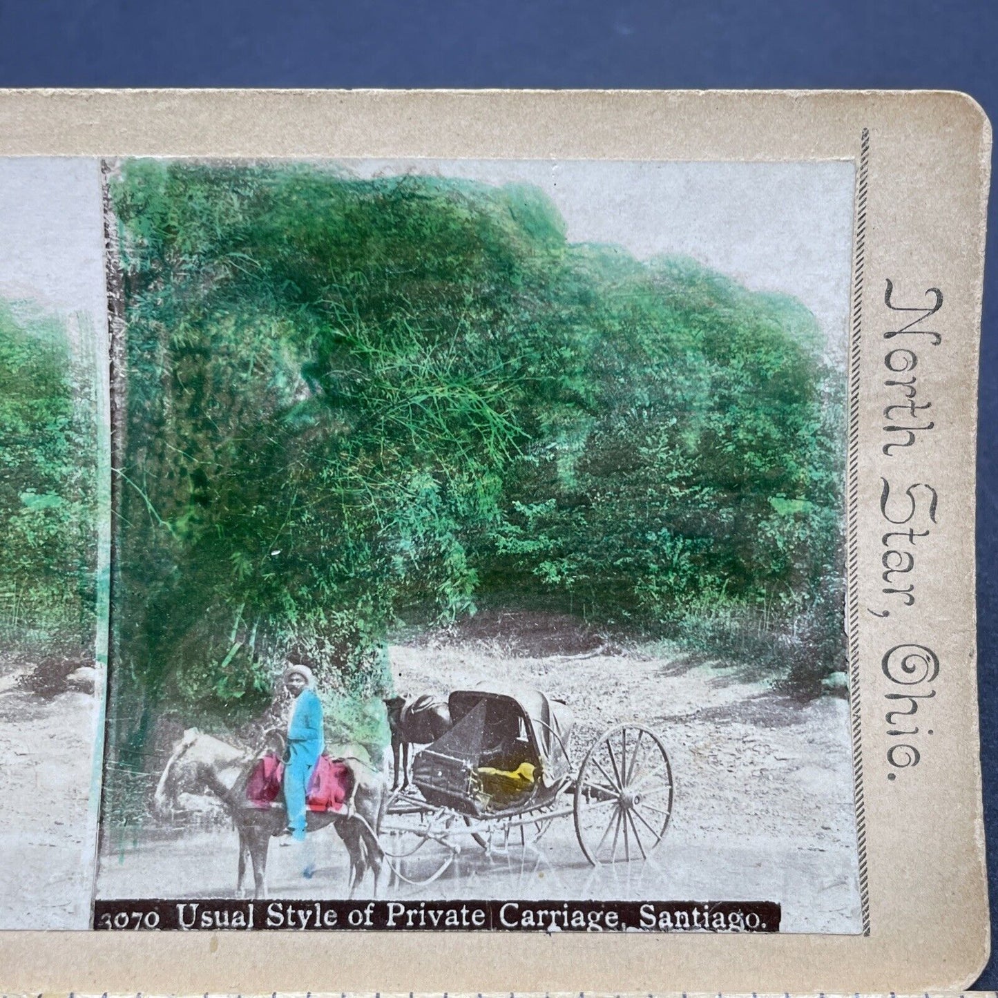 Antique 1880s Carriage & Driver Santiago Chile Stereoview Photo Card P1853