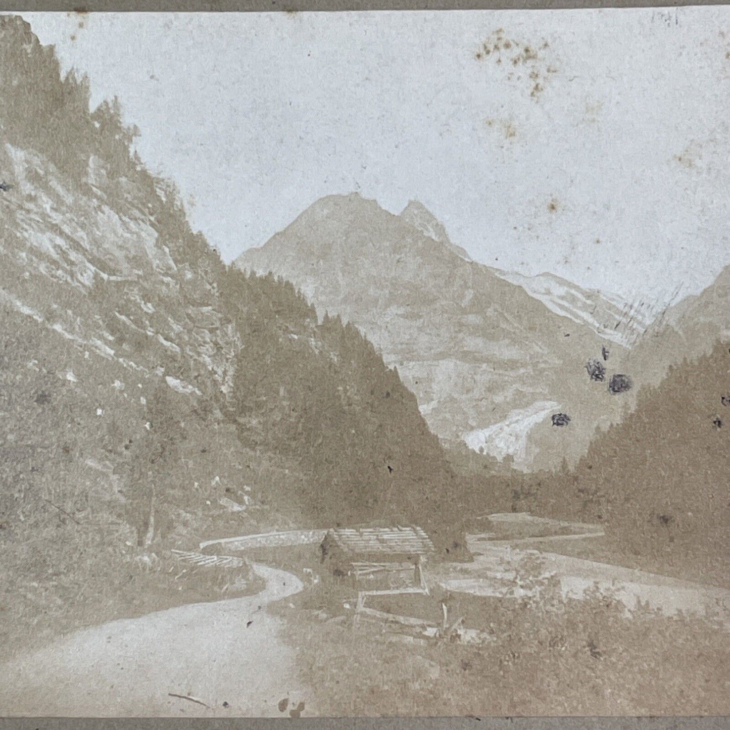 Grindelwald Village Switzerland Stereoview Antique c1855 Y1115