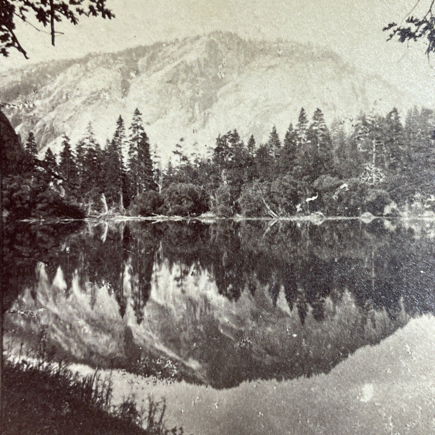 Antique 1880s Yosemite National Park CA Stereoview Photo Card P3491