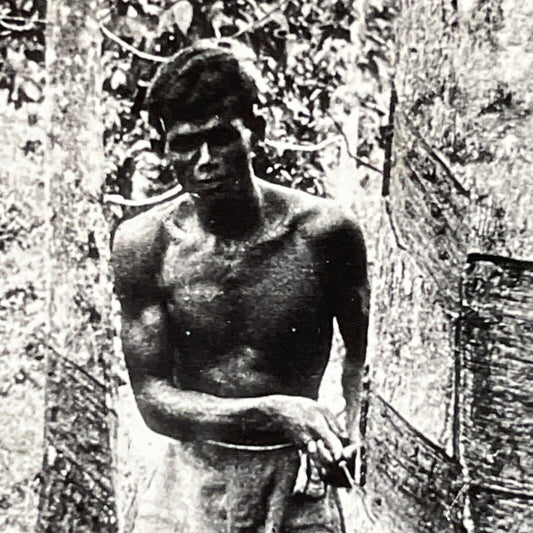 Antique 1910s Laborer From India Cutting Rubber Tree Stereoview Photo Card P4476