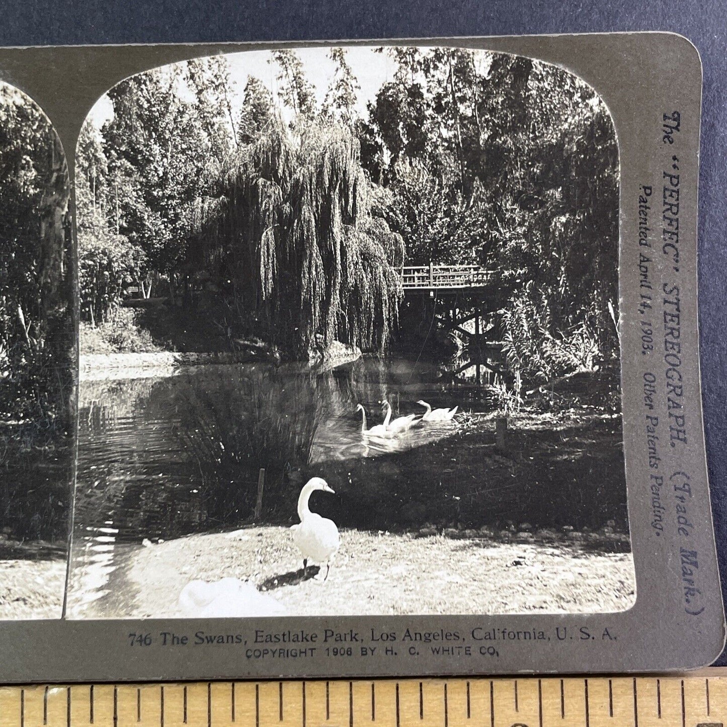 Los Angeles California Eastlake Park Lake Stereoview Antique c1906 X1598