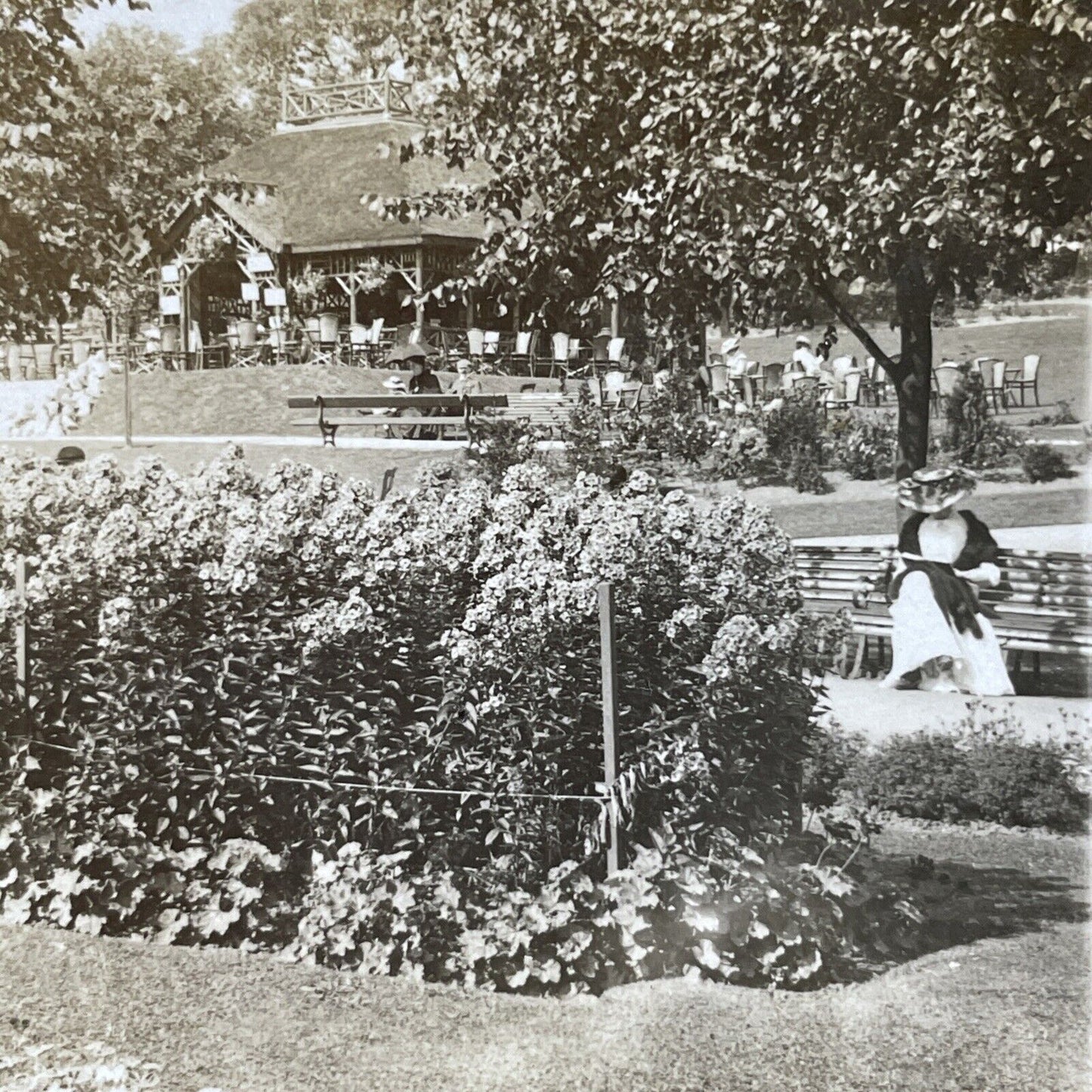 Antique 1905 Valley Gardens Harrogate England Stereoview Photo Card P2652