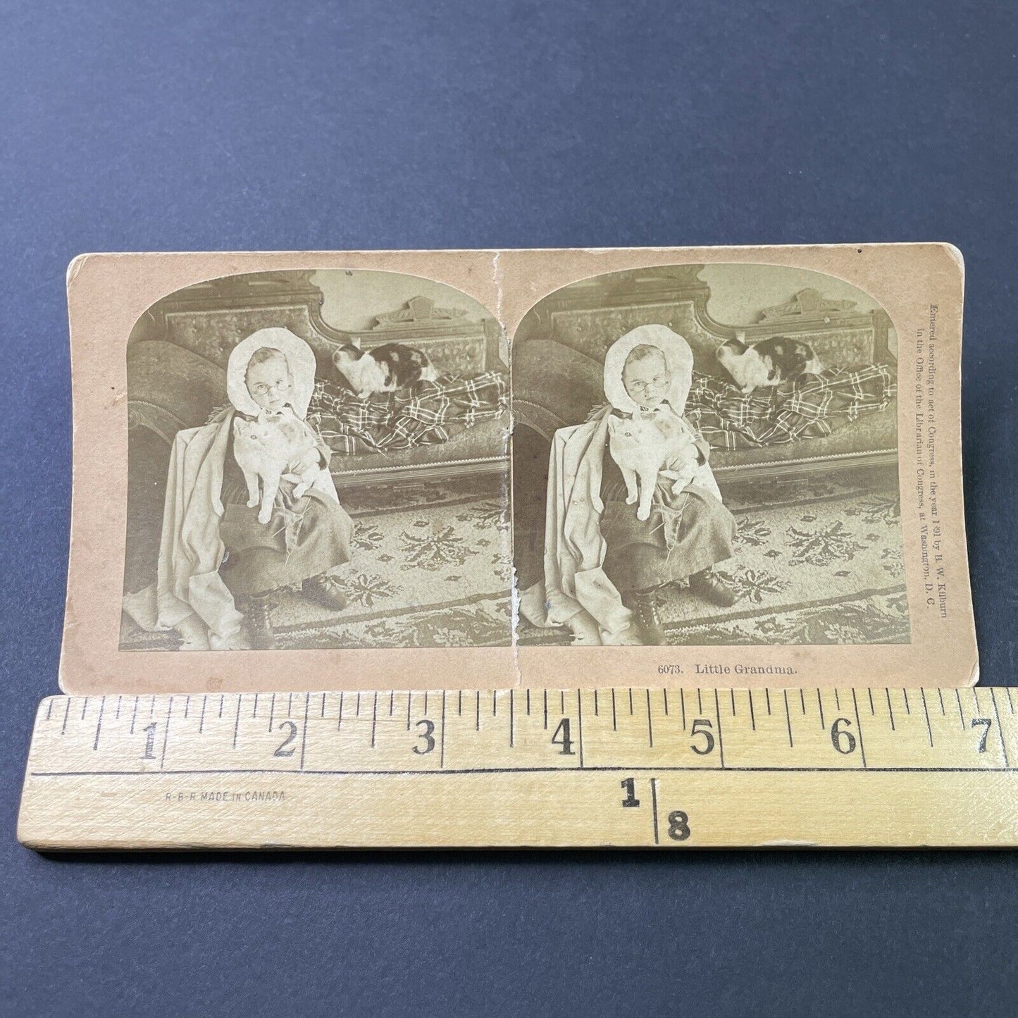 Antique 1891 Little Girl Dresses As Grandma With Cats Stereoview Photo Card 3082