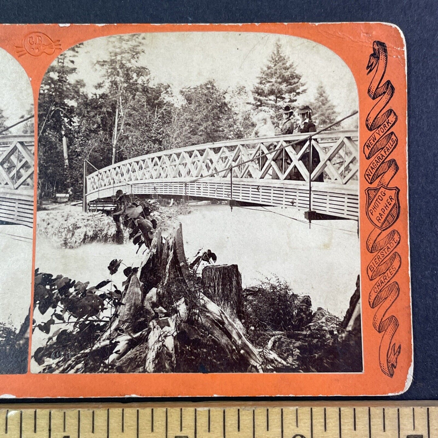 Victorian Women Sister Island New York Stereoview Charles Bierstadt c1870s Y2231