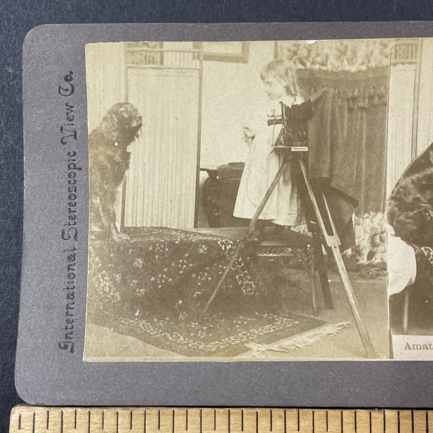 Camera Photography Girl Taking Photo Stereoview Card Antique c1899 X1229