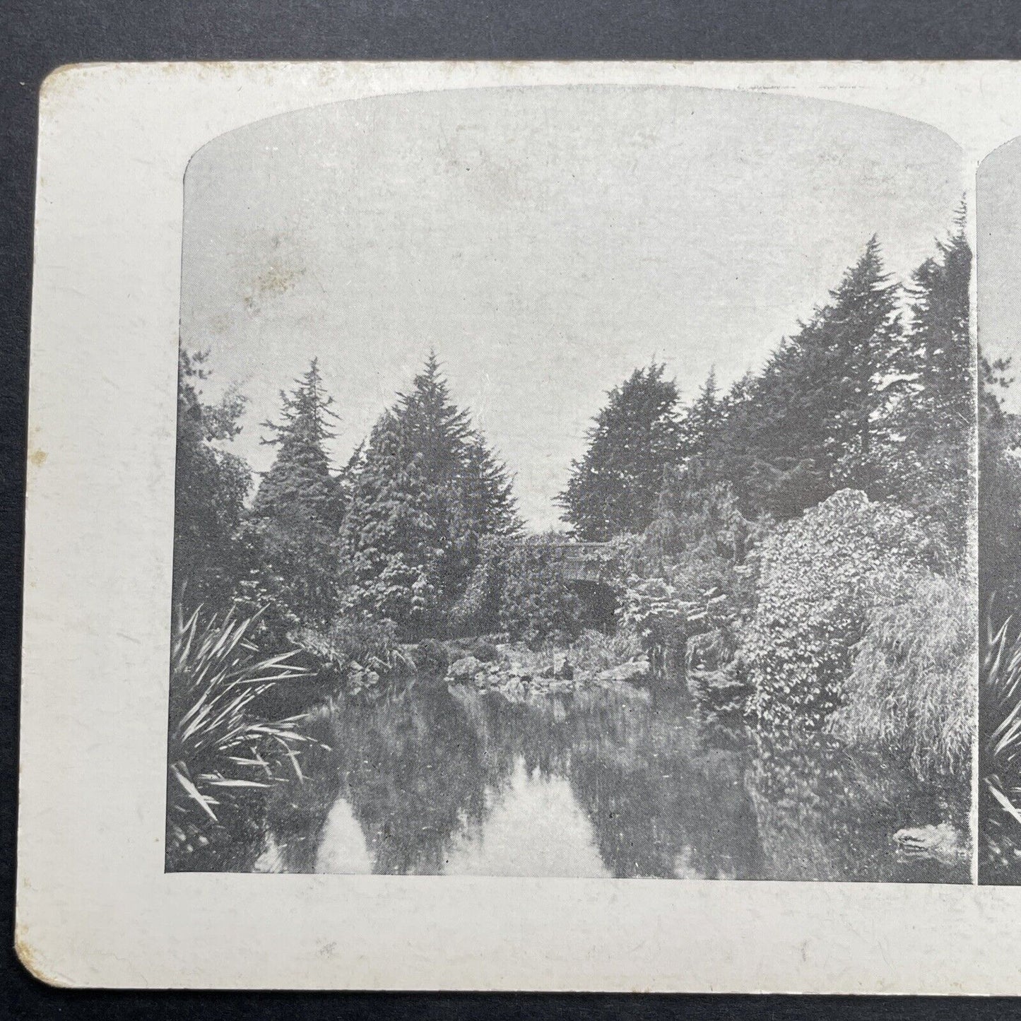 Antique 1910 Golden Gate Park Pond San Francisco Stereoview Photo Card P580-110