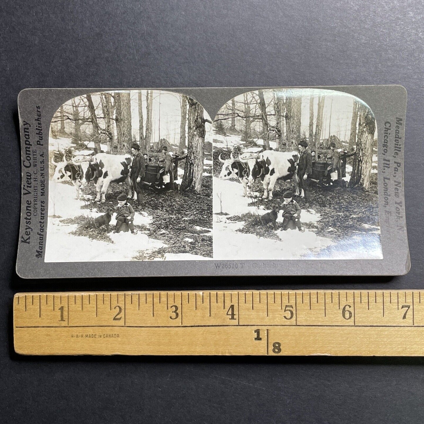 Antique 1920 Maple Syrup Sugar Bush In Vermont USA Stereoview Photo Card P1511