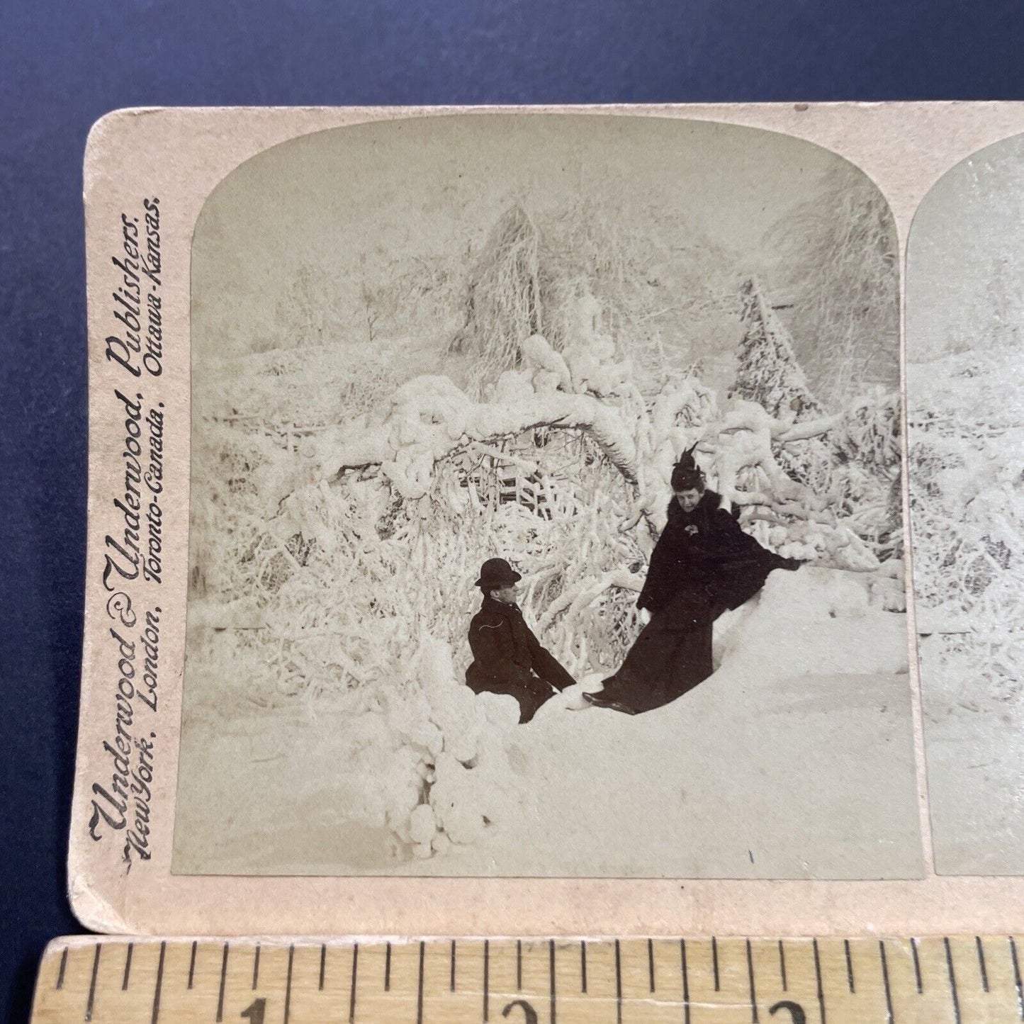 Antique 1895 The Great Freeze Gulf Blizzard Snowstorm Stereoview Photo Card 4092