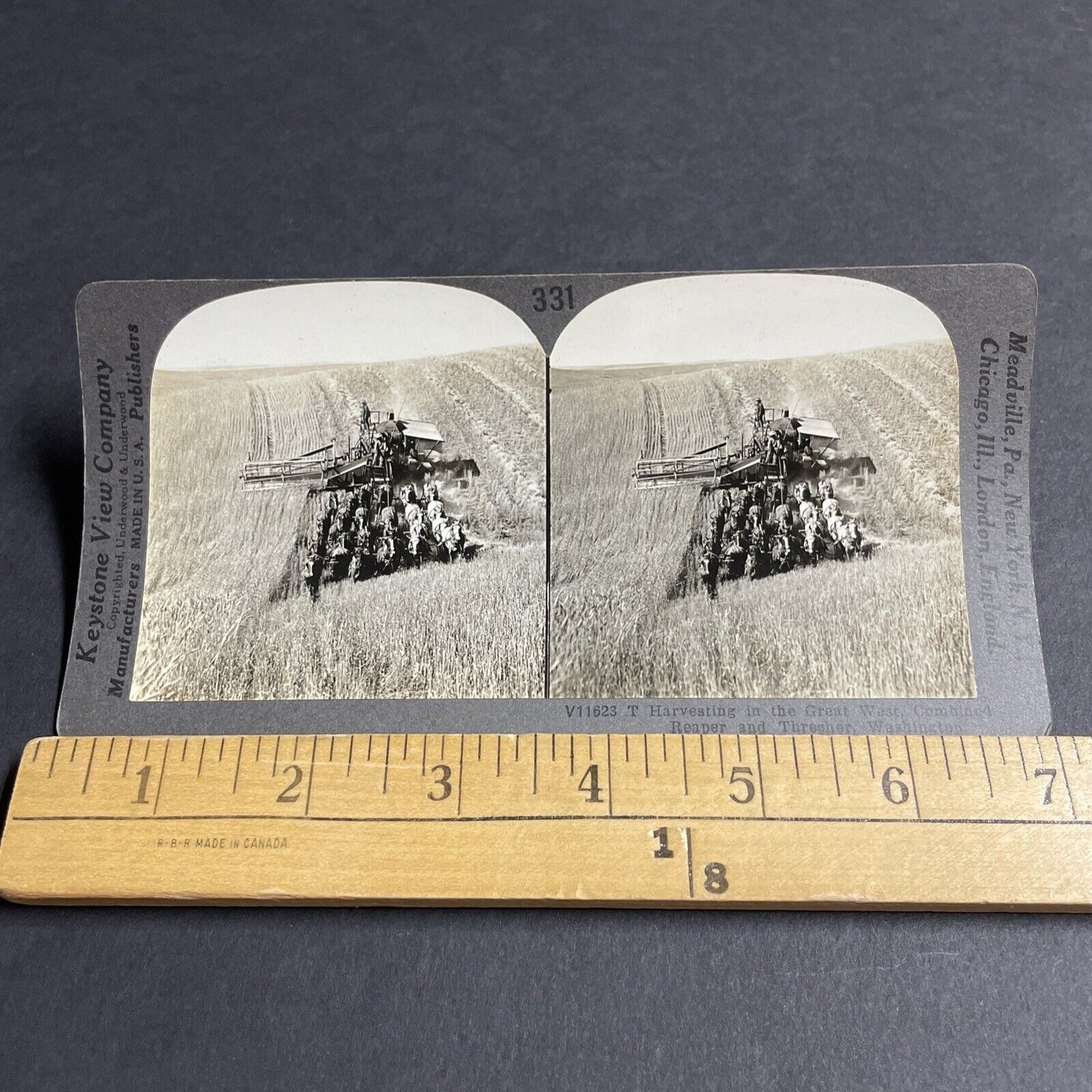 Antique 1910s Horse Drawn Wheat Combine Washington Stereoview Photo Card P3196