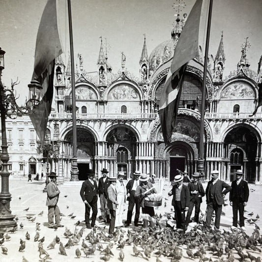 Antique 1910s Men Swarmed By Pigeons Venice Italy Stereoview Photo Card V2881