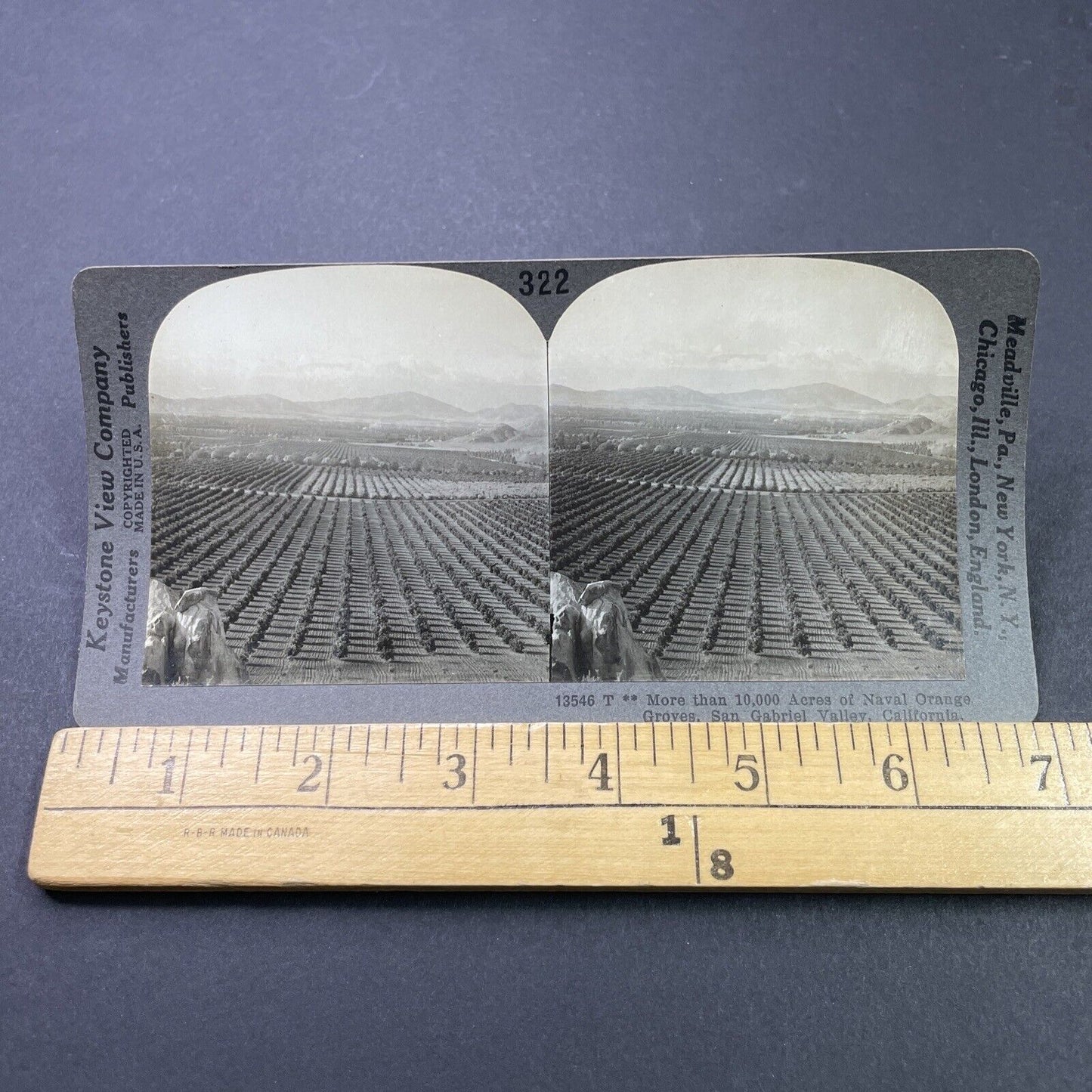 Antique 1910s Oranges Farm In Pasadena California Stereoview Photo Card P3146