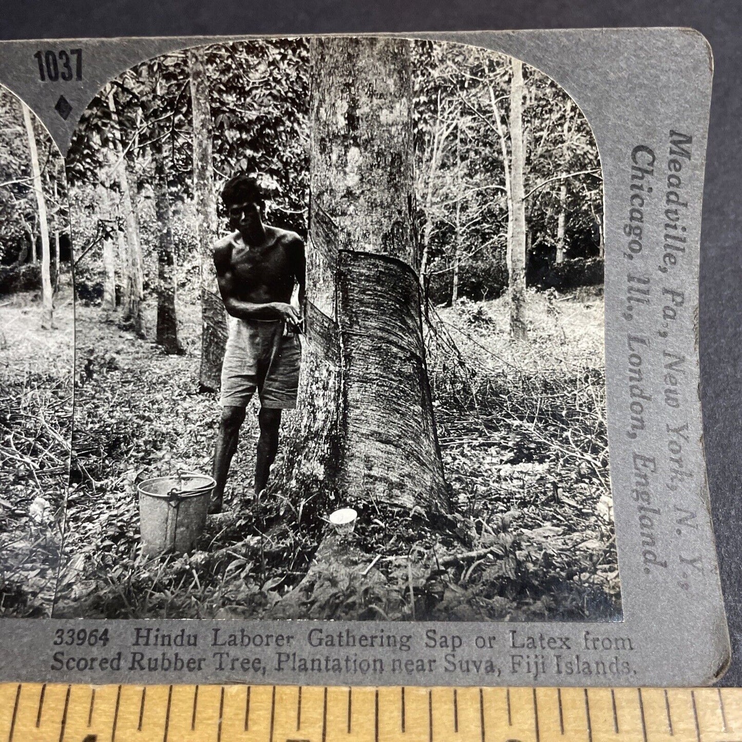 Antique 1910s Unpaid Labor From India In Fiji Island Stereoview Photo Card P4219