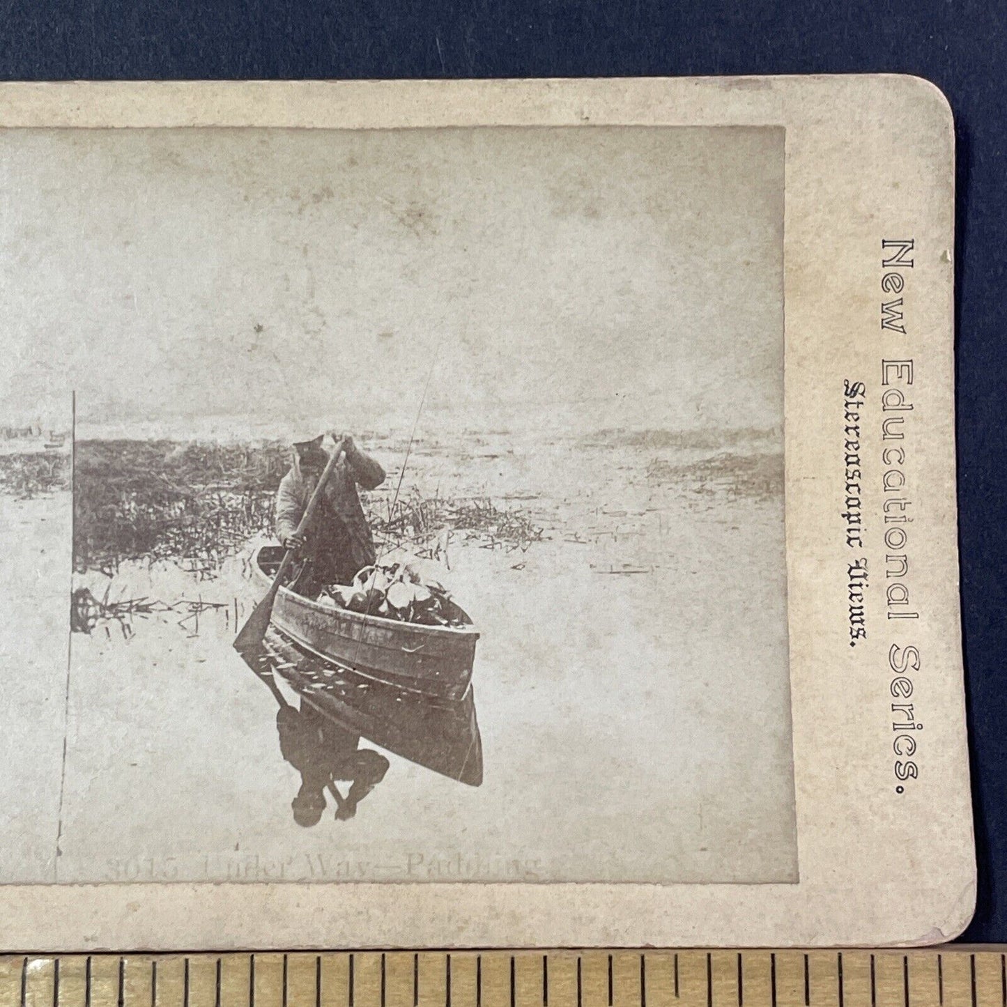 Duck Hunting In A Canoe Or Rowboat Stereoview Hunter Antique c1880 X2796