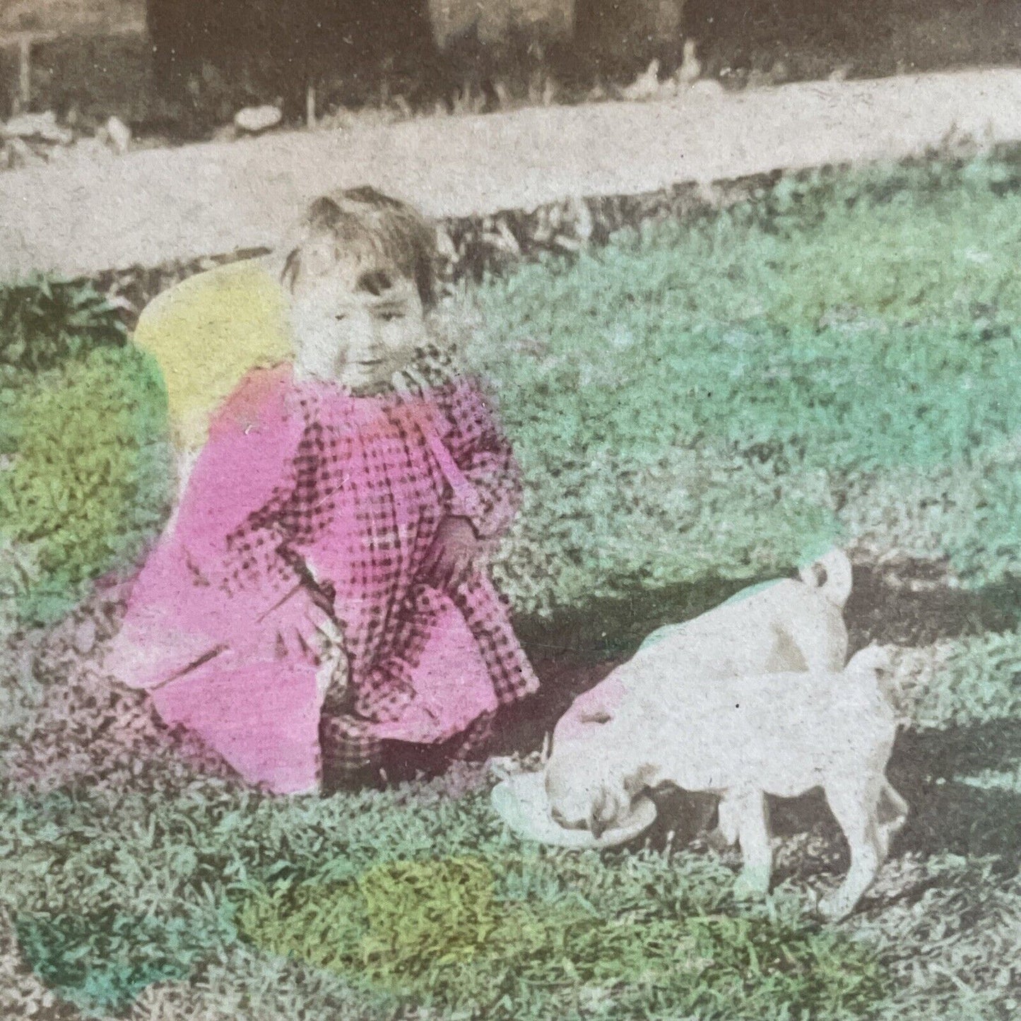 Antique 1880s Little Girl With Her Pug Dog Stereoview Photo Card P4649