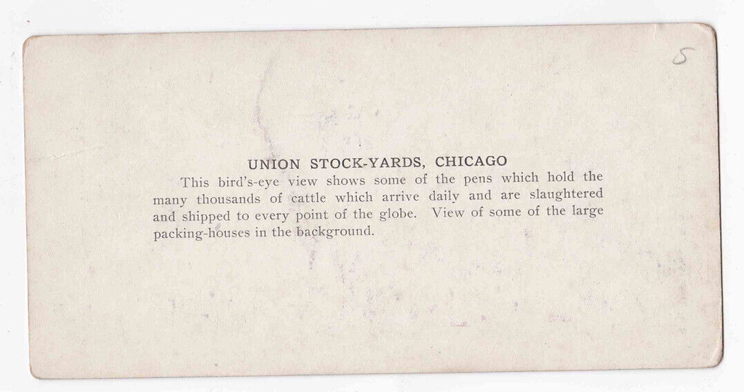 Antique 1905 Slaughterhouse Cattle Stock Yards Chicago Illinois Stereo Card P306