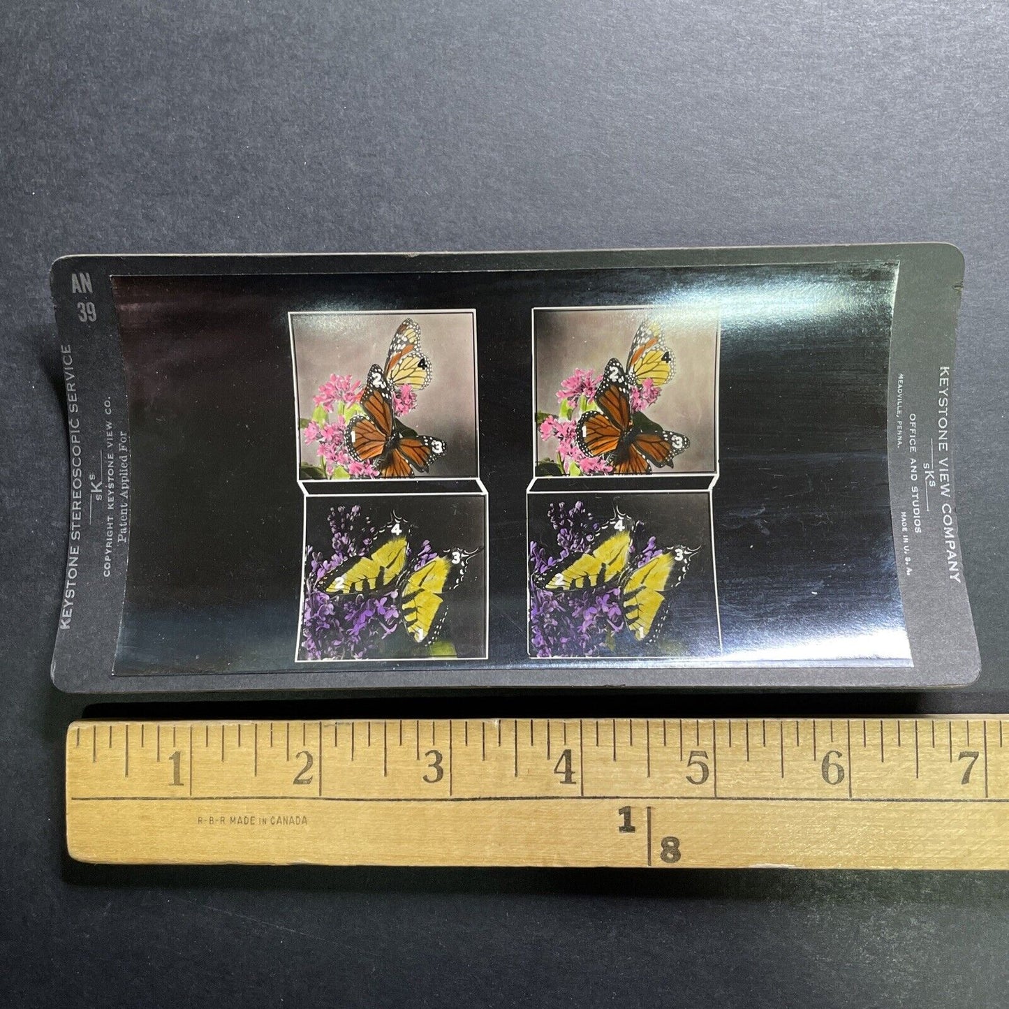 Antique 1920s Eye Training Slide (Butterflies) Stereoview Photo Card P1281